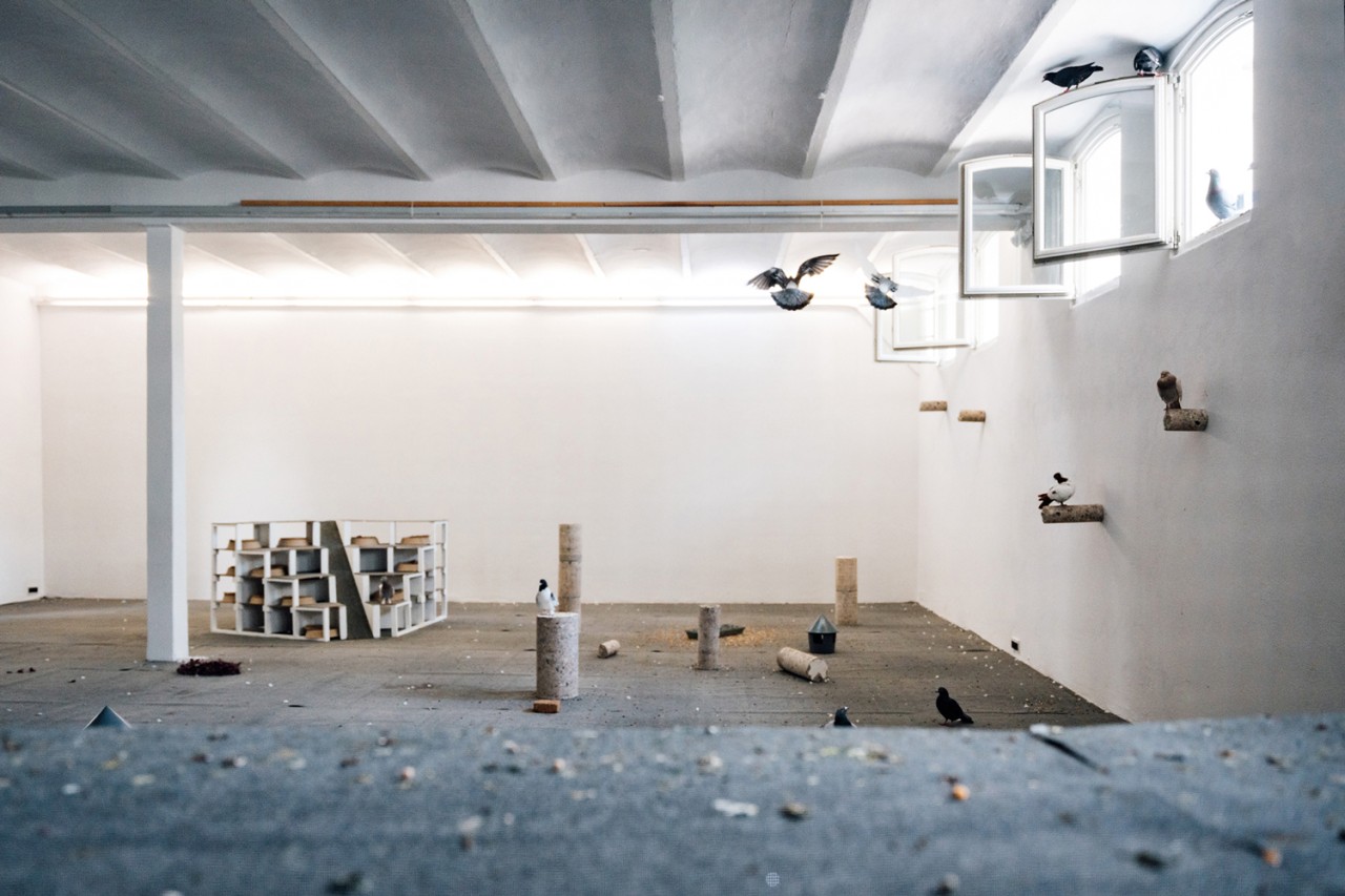 Nephelo­kokkygia (Wolken­kuckucks­heim), 2022