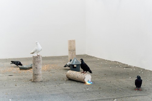 Nephelo­kokkygia (Cloud Cuckoo Land), 2022